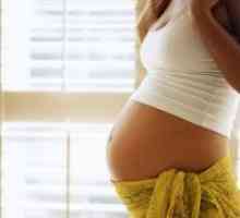 Fetometry фетусот: 34 недели