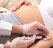 АФП норма за време на бременост недела по недела