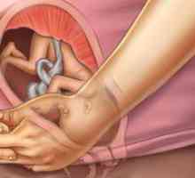 Нормална тежина на фетусот во 27 недели од бременоста