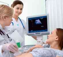 Норми CTE фетусот со недели од бременоста