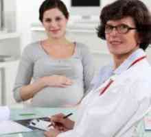 Колку е тежок фетусот во 31 недела од бременоста?