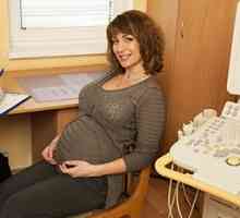 Узи за време на бременост: 32 недели