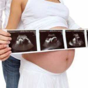 33 Недели на бременост: тежина на фетусот