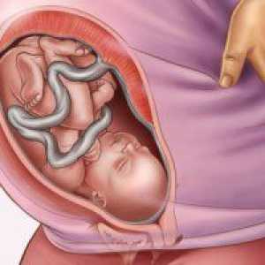 35 Недели од бременоста: тежина на бебето