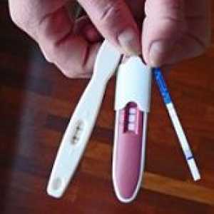 Двоен бременост Тест
