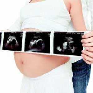 Нормална тежина на фетусот во 26 недели од бременоста