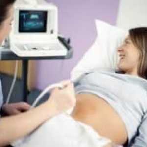 Првиот ултразвук во бременоста