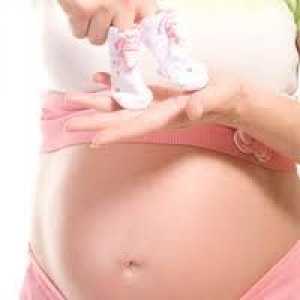 Тежината на детето во утробата