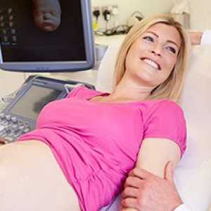 Дали ултразвук е штетно за време на бременоста